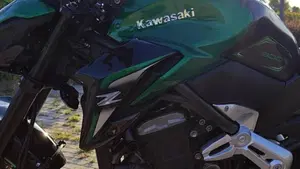 Kawasaki Z 900 A2 (2019)  (13)