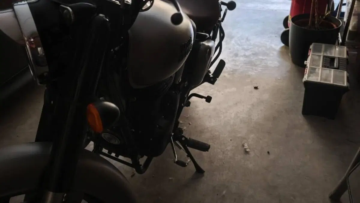 Royal Enfield Classic 350 (2021 - 26)  (4)