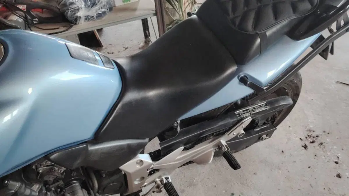 Honda CBF 600 (2004 - 06)  (6)