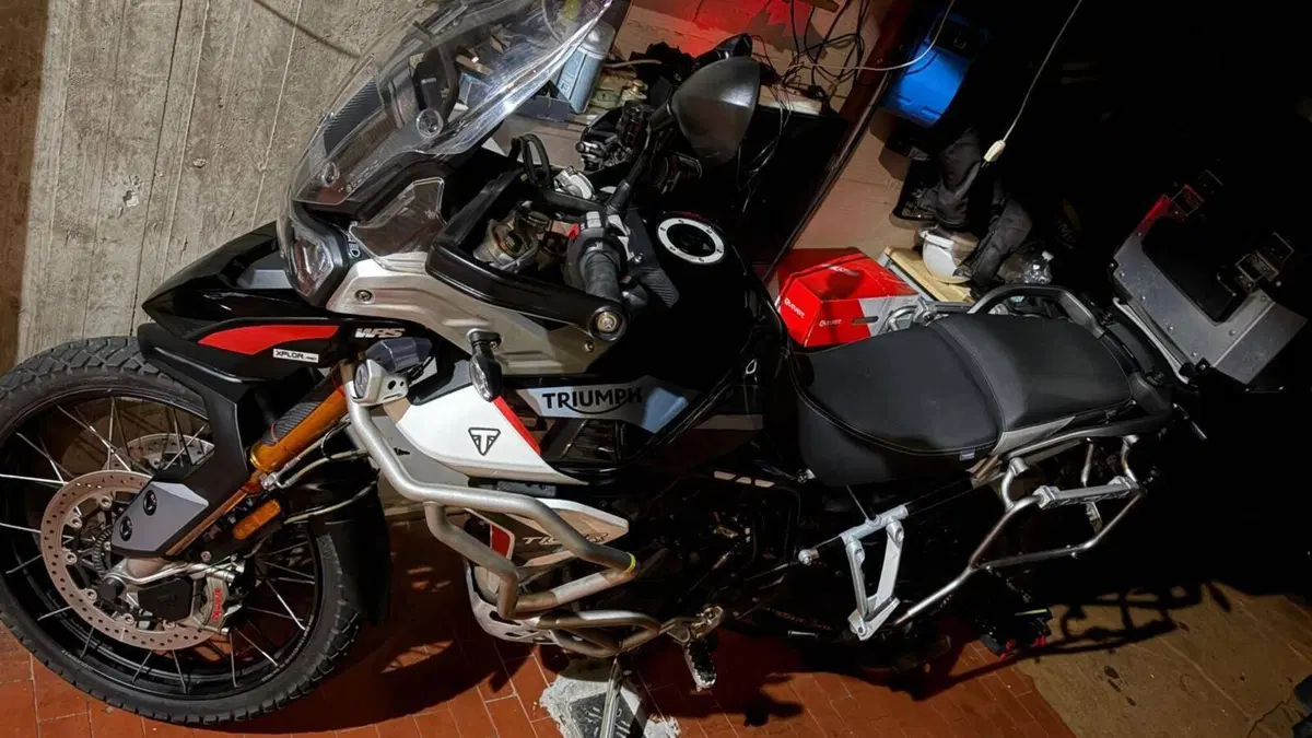 Triumph Tiger 900 Rally Pro (2020 - 23)  (14)