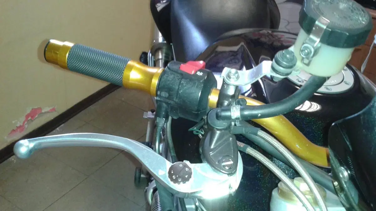 Honda Hornet 600 (2005 - 06)  (6)