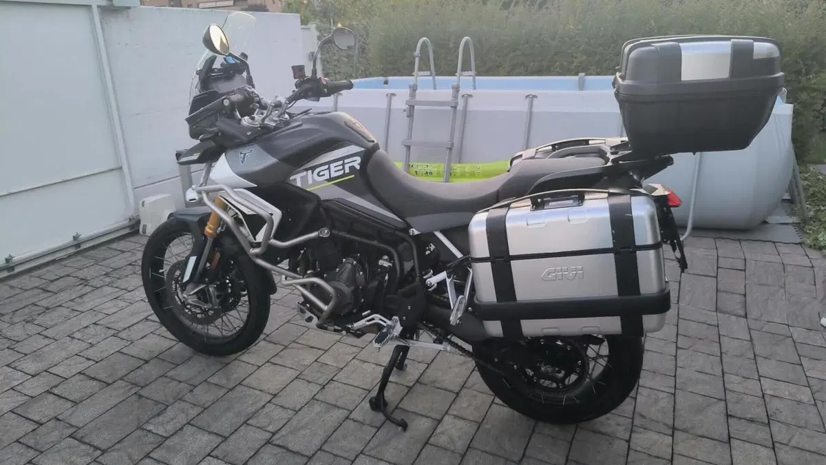 Triumph Tiger 900 Rally Aragón Edition (2023 - 24)  (2)