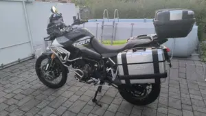 Triumph Tiger 900 Rally Aragón Edition (2023 - 24)  (2)