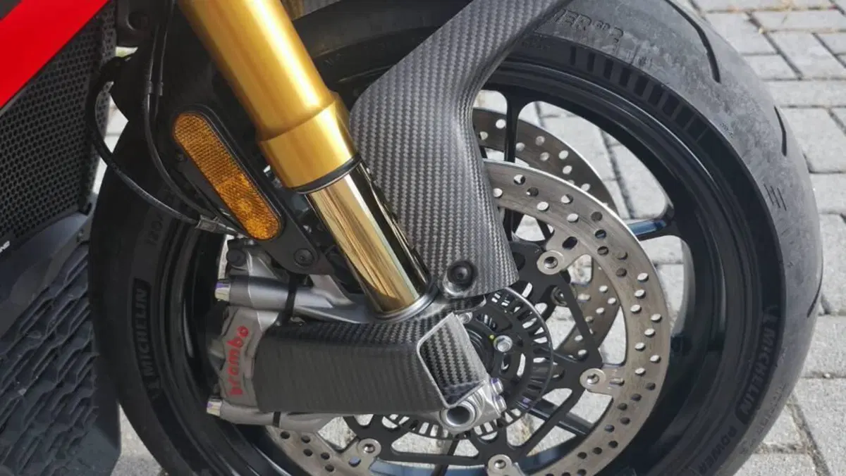 Aprilia Tuono V4 Factory SE-09 SBK (2024)  (3)