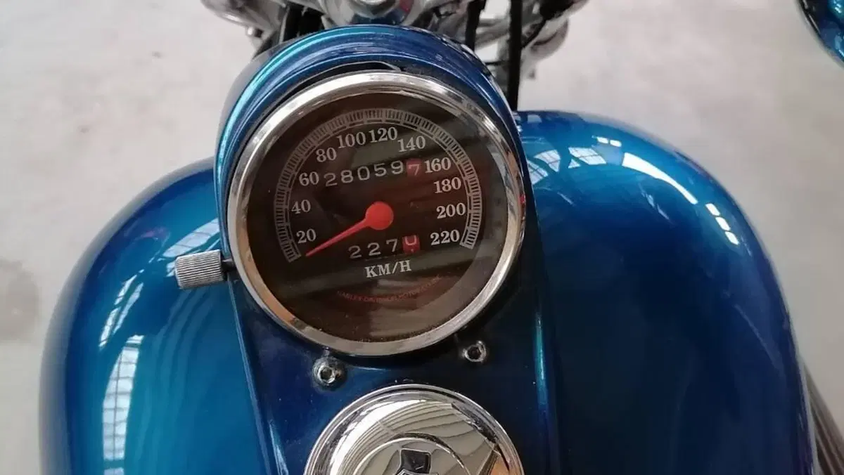 Harley-Davidson   (3)