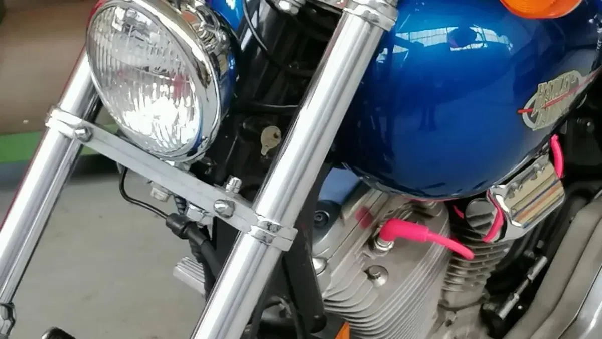 Harley-Davidson   (5)