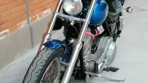 Harley-Davidson   (8)