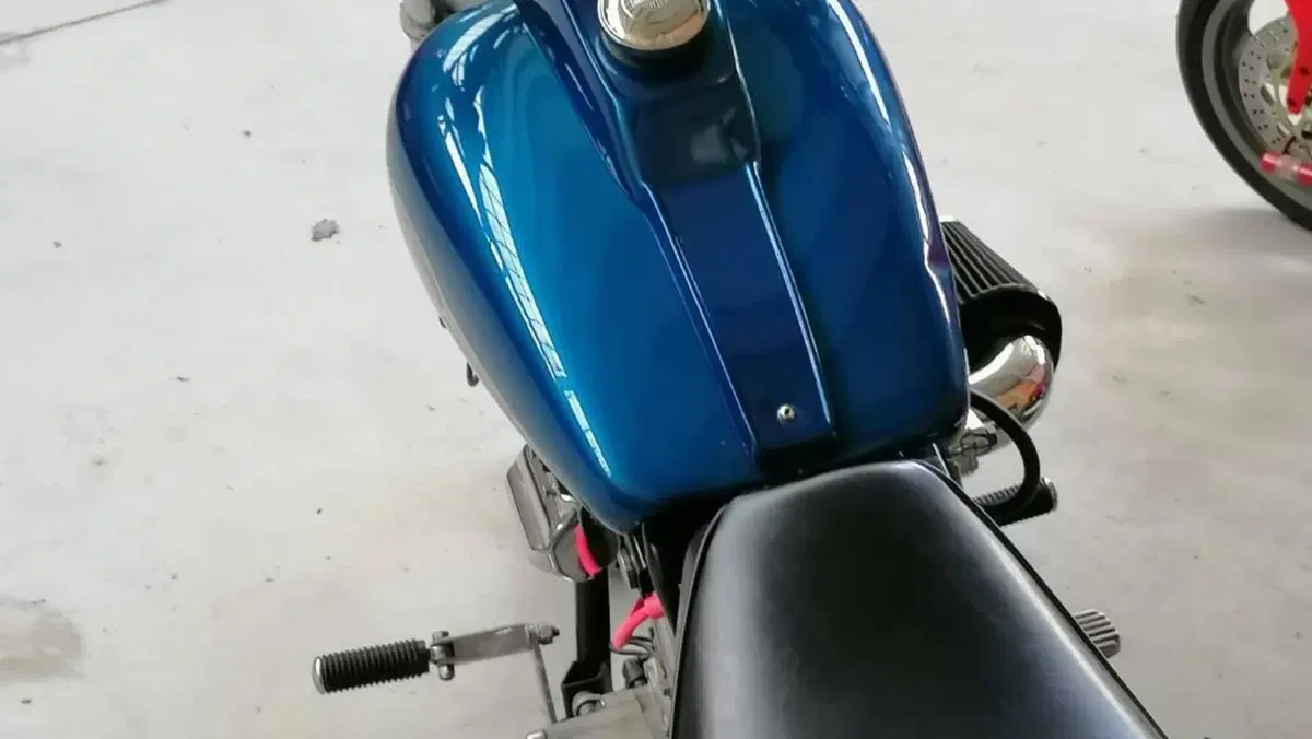 Harley-Davidson   (9)