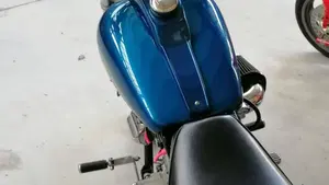 Harley-Davidson   (9)