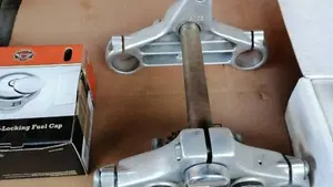 Harley-Davidson   (10)