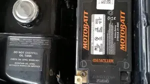 Harley-Davidson   (13)