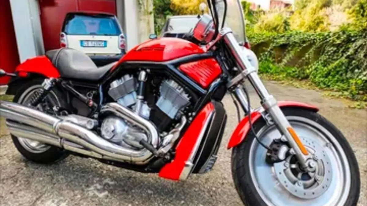 Harley-Davidson 1130 V-Rod (2002 - 05) - VRSCA 