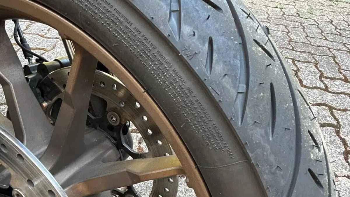 Harley-Davidson Low Rider ST (2022 - 24)  (10)