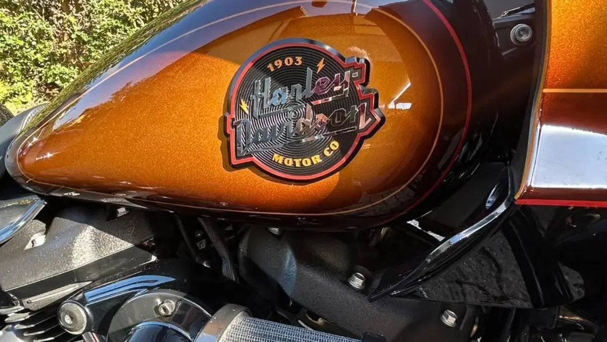 Harley-Davidson Low Rider ST (2022 - 24)  (11)