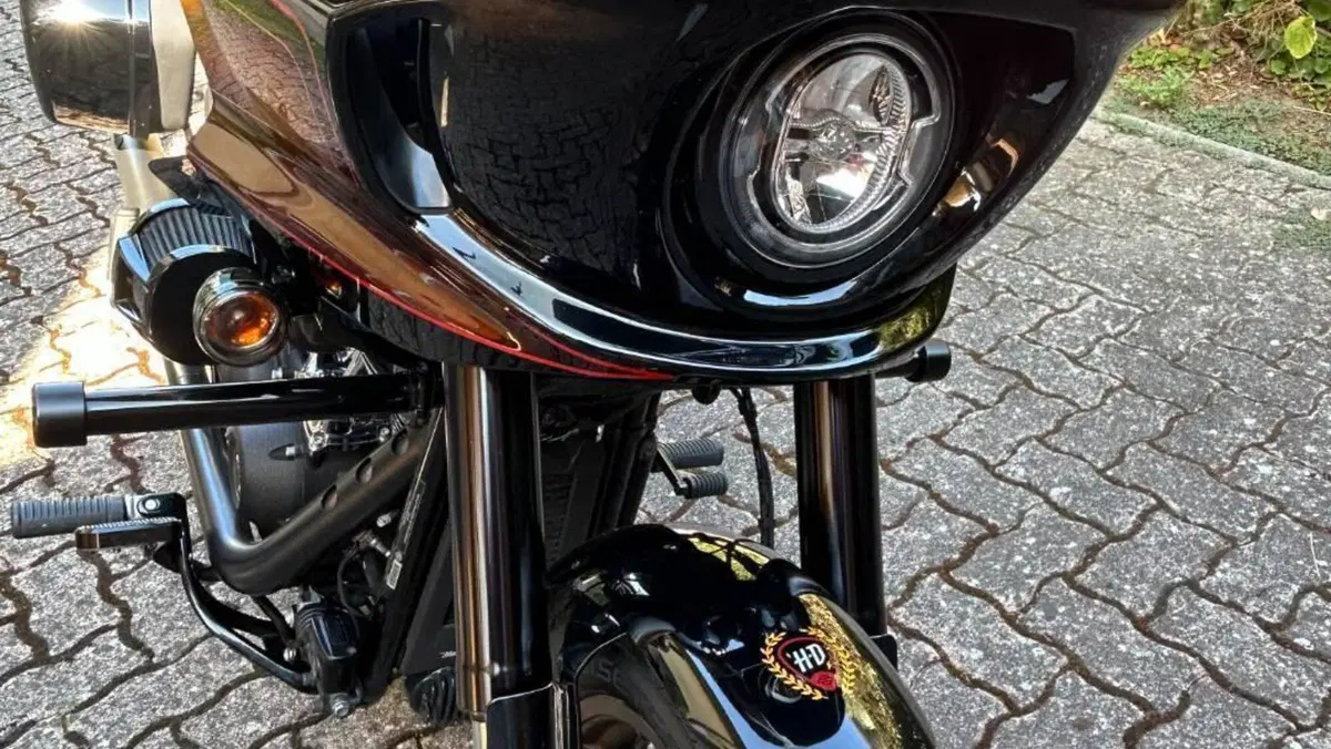 Harley-Davidson Low Rider ST (2022 - 24)  (13)