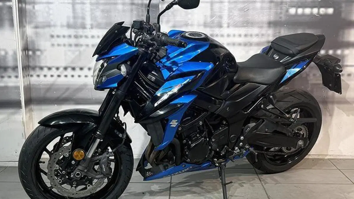 Suzuki GSX S 750 Yugen (2018 - 20)  (7)