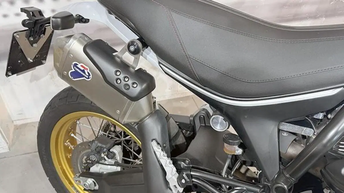 Ducati Scrambler 800 Desert Sled (2021 - 22)  (6)