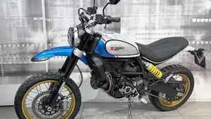 Ducati Scrambler 800 Desert Sled (2021 - 22)  (7)