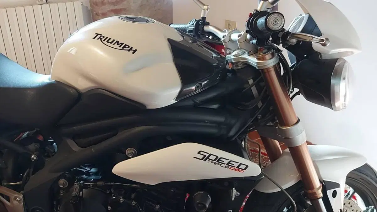 Triumph Speed Triple 1050 R ABS (2011 - 15)  (6)