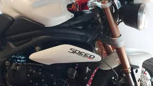 Triumph Speed Triple 1050 R ABS (2011 - 15)  (7)