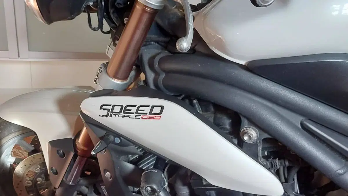 Triumph Speed Triple 1050 R ABS (2011 - 15)  (12)