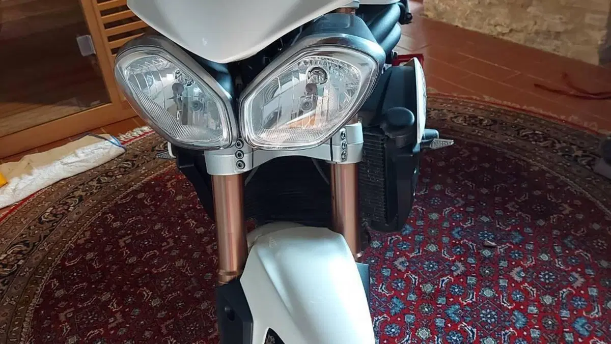 Triumph Speed Triple 1050 R ABS (2011 - 15)  (8)