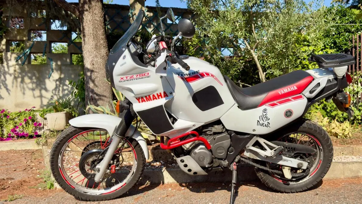 Yamaha   (6)