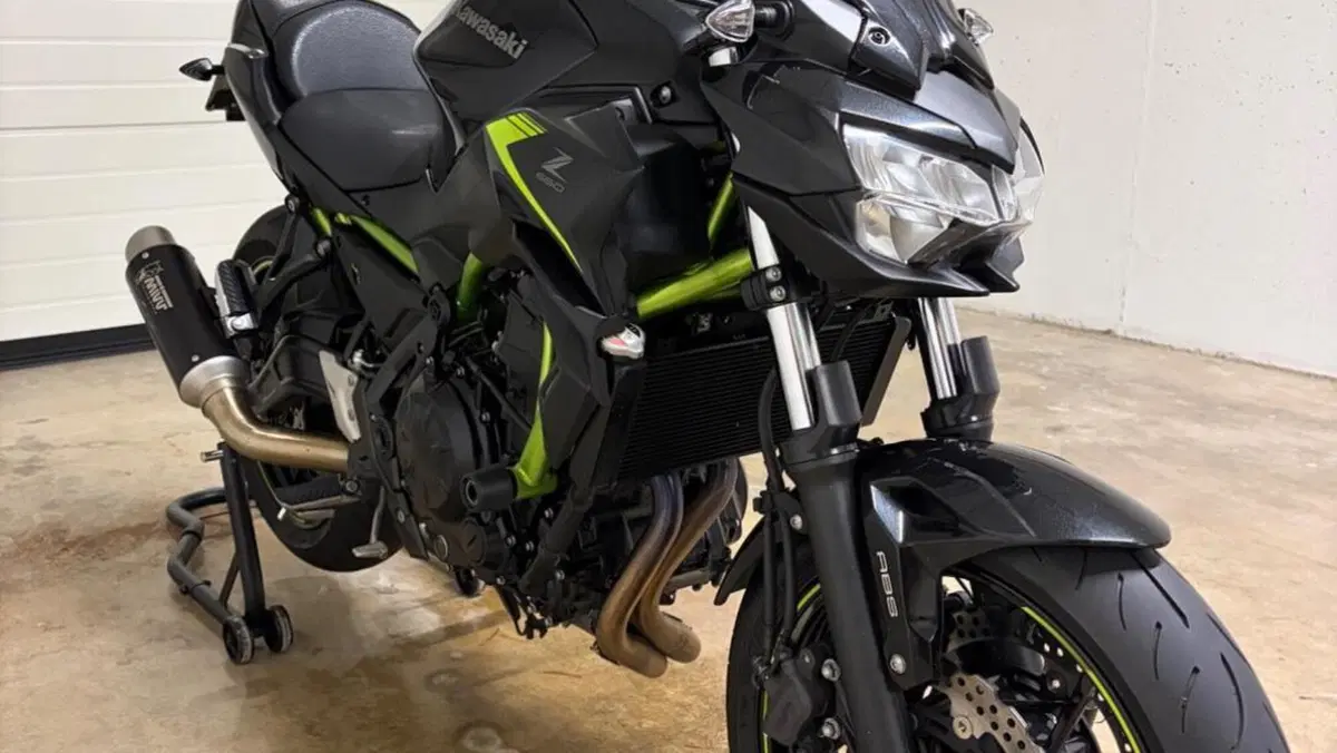 Kawasaki Z 650 (2021 - 24)  (2)