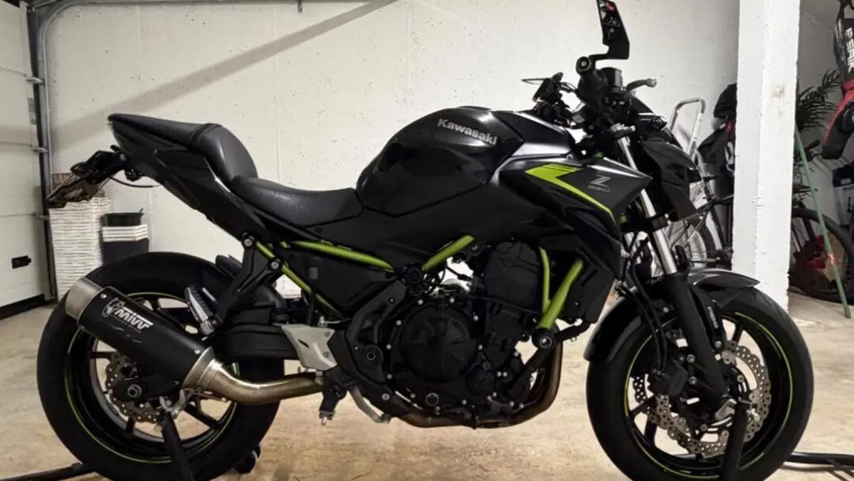 Kawasaki Z 650 (2021 - 24)  (3)