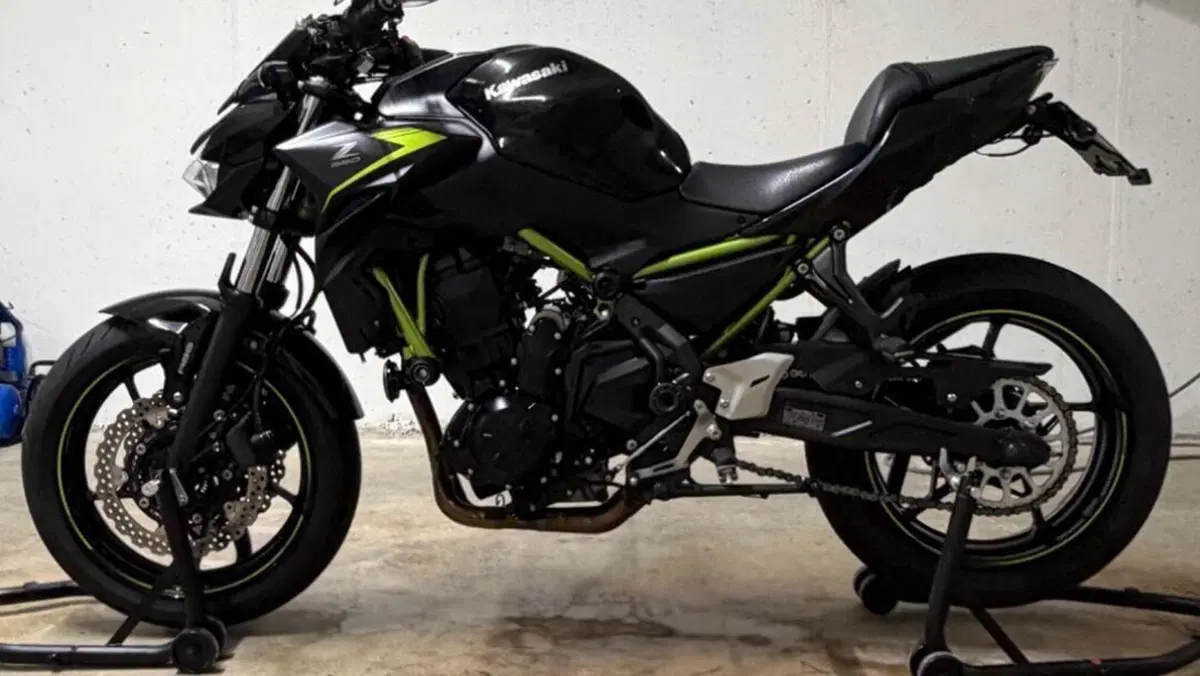 Kawasaki Z 650 (2021 - 24)  (4)