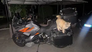 KTM 1290 Super Adventure S (2021)  (4)