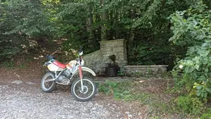 Yamaha   (4)