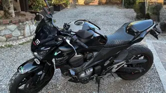 Kawasaki Z 800 ABS (2012 - 16) usata
