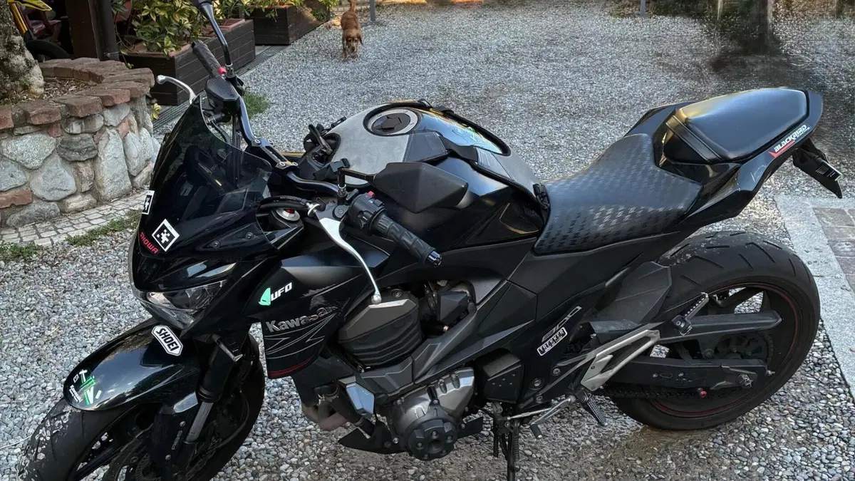Kawasaki Z 800 ABS (2012 - 16)  (6)