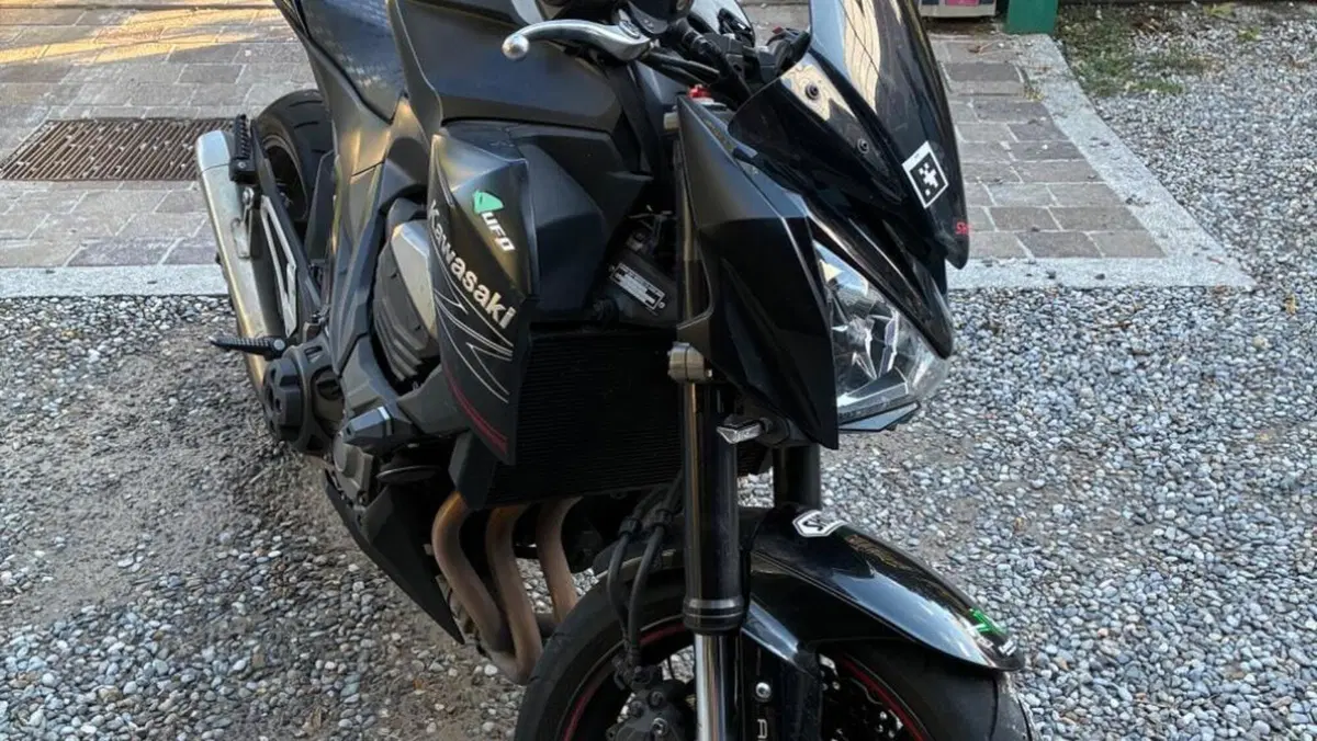 Kawasaki Z 800 ABS (2012 - 16)  (7)