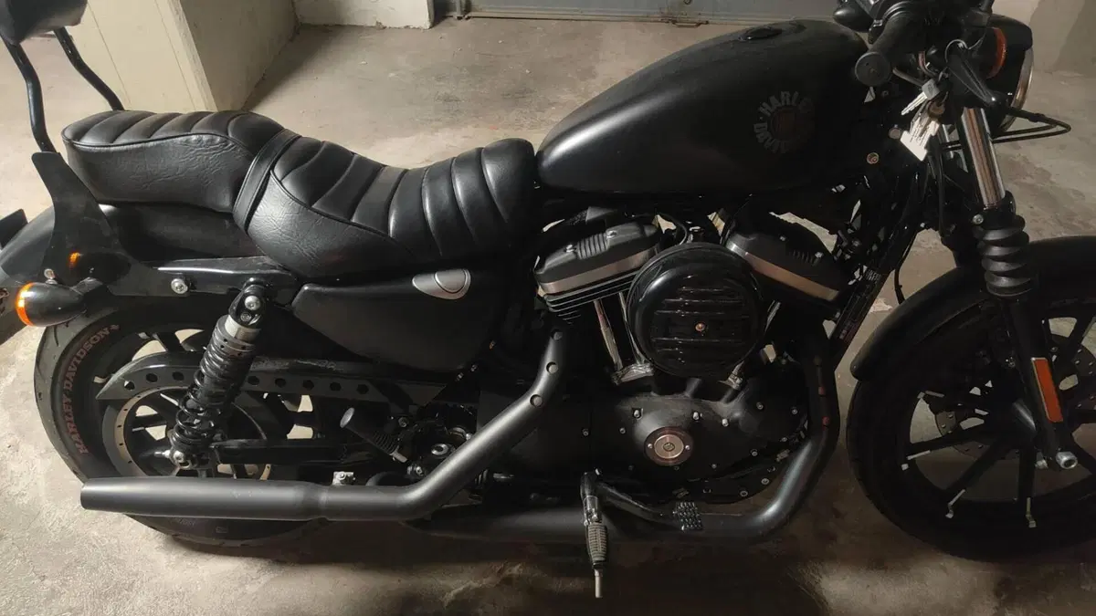 Harley-Davidson 883 Iron (2017 - 20) - XL 883N  (12)