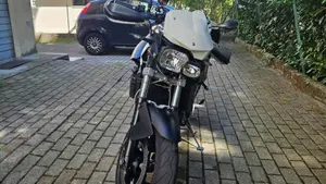 Bmw F 800 R (2009 - 11)  (7)