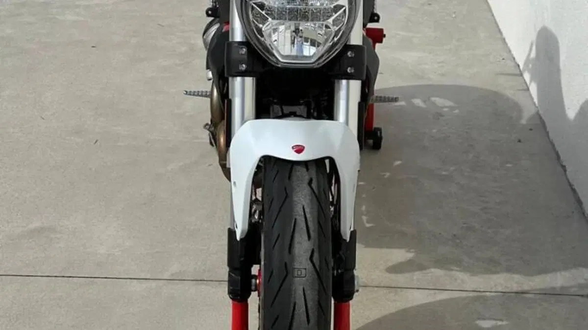 Ducati Monster 797 (2017 - 18)  (2)