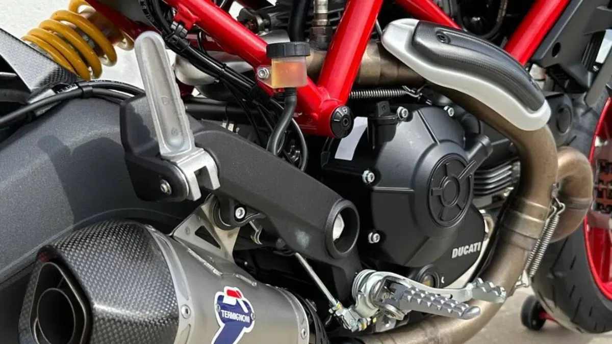 Ducati Monster 797 (2017 - 18)  (4)