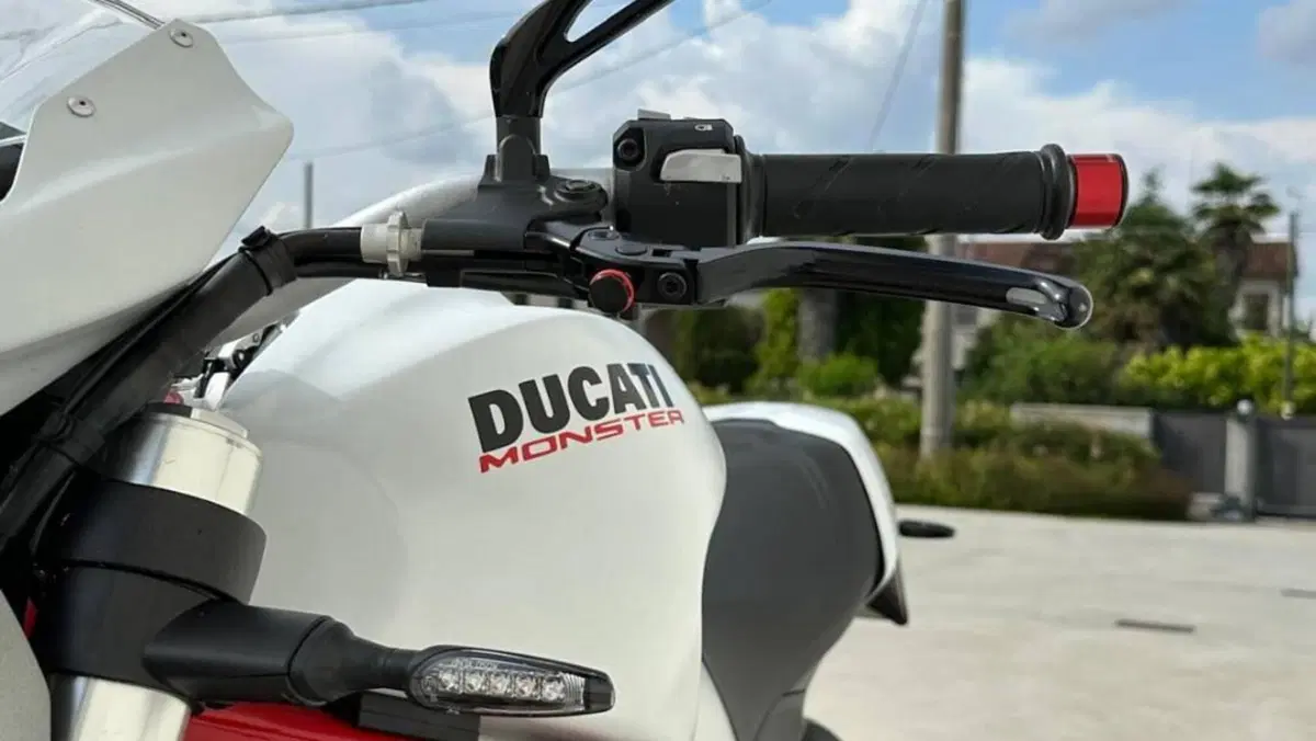 Ducati Monster 797 (2017 - 18)  (6)