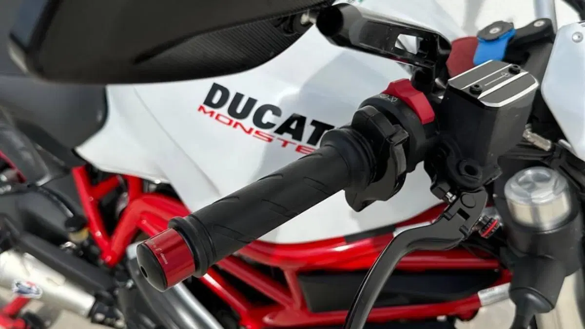 Ducati Monster 797 (2017 - 18)  (9)