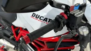 Ducati Monster 797 (2017 - 18)  (9)