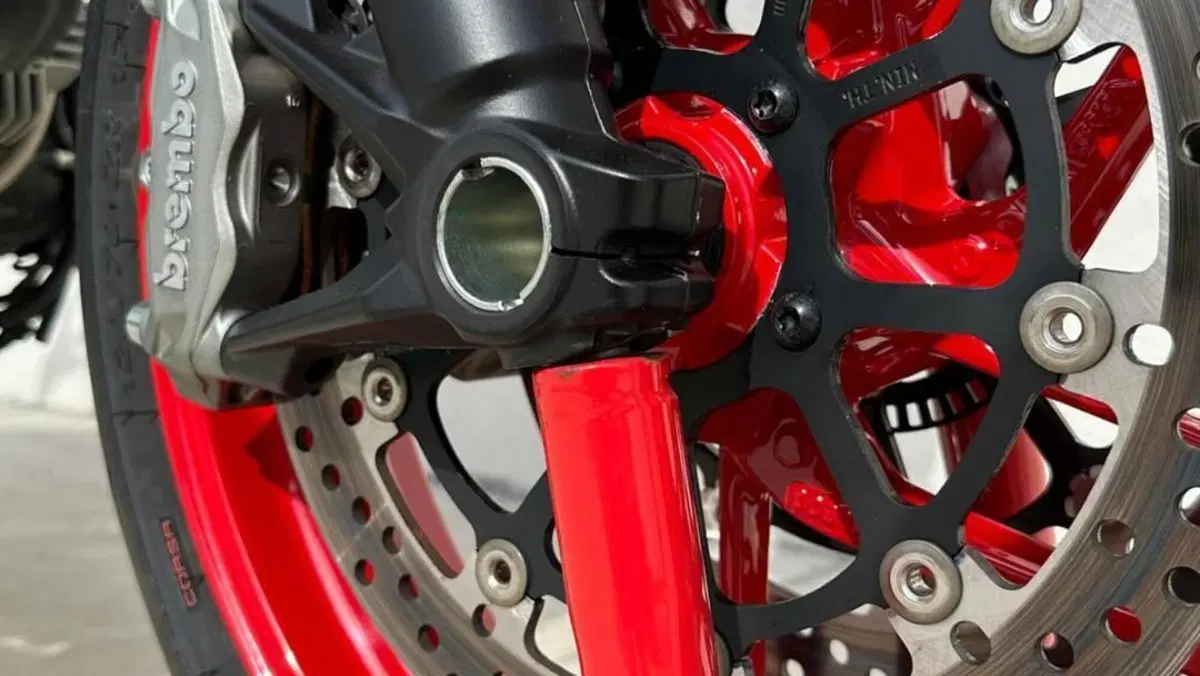 Ducati Monster 797 (2017 - 18)  (10)