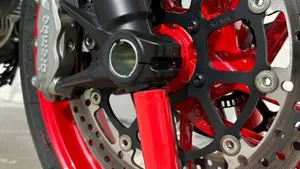 Ducati Monster 797 (2017 - 18)  (10)