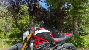 Ducati Monster 1200 S (2014 - 16)  (8)