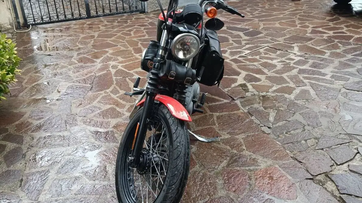 Harley-Davidson 1200 Custom (2007 - 13) - XL 1200C  (3)