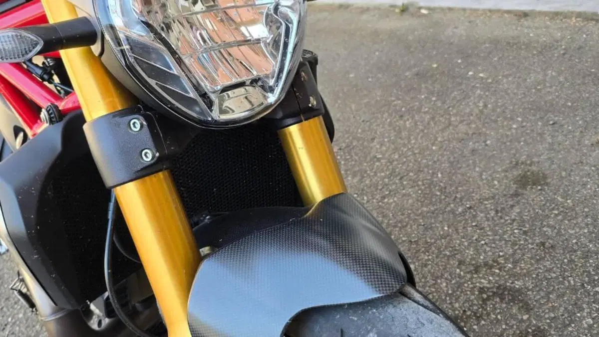 Ducati Monster 1200 S (2014 - 16)  (4)