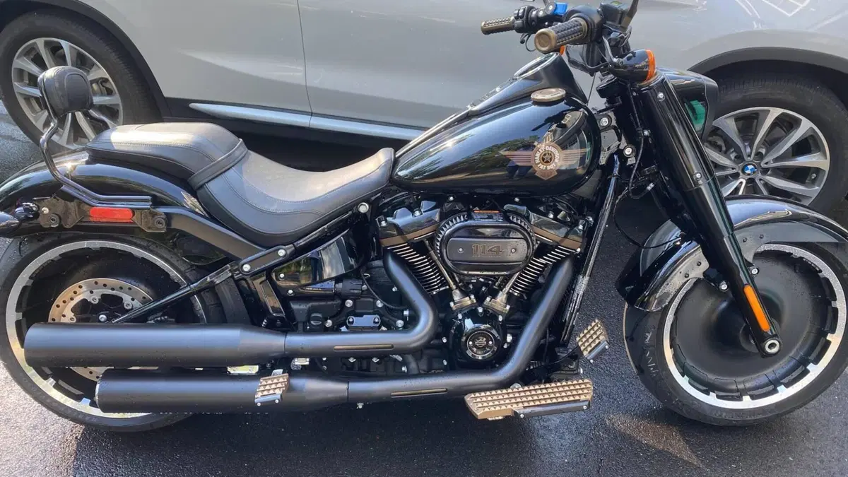 Harley-Davidson Fat Boy 114 Anniversary (2023)  (4)