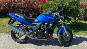 Kawasaki ZR-7 (2001 - 04)  (2)