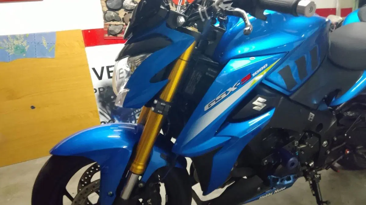 Suzuki GSX-S1000 ABS (2015 - 17)  (2)